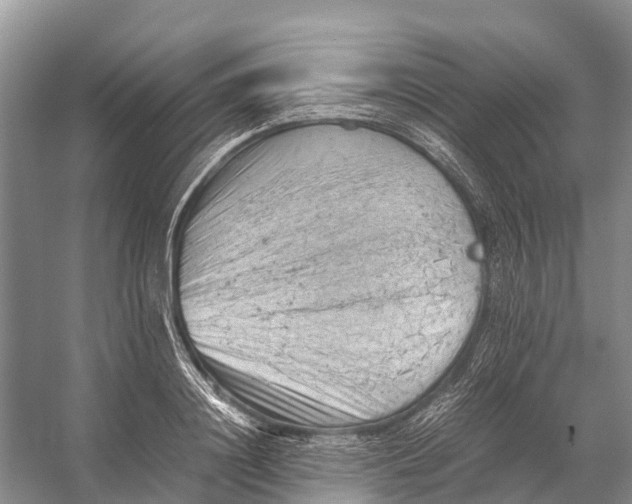 X0000053150844200508081408