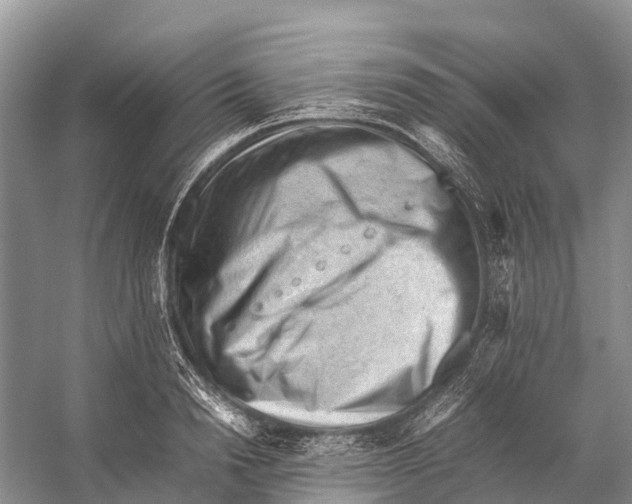 X0000053150846200508081408