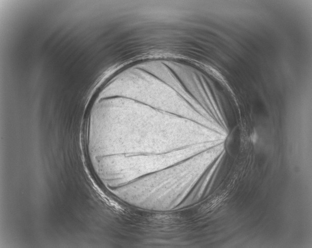 X0000053150847200508081408