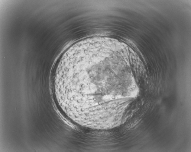 X0000053150851200508081408