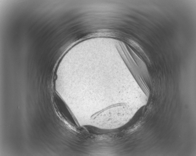 X0000053150852200508081408