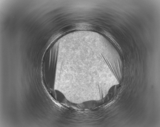 X0000053150853200508081408