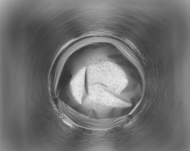 X0000053150854200508081408