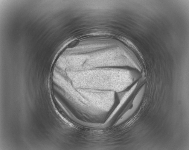 X0000053150855200508081408