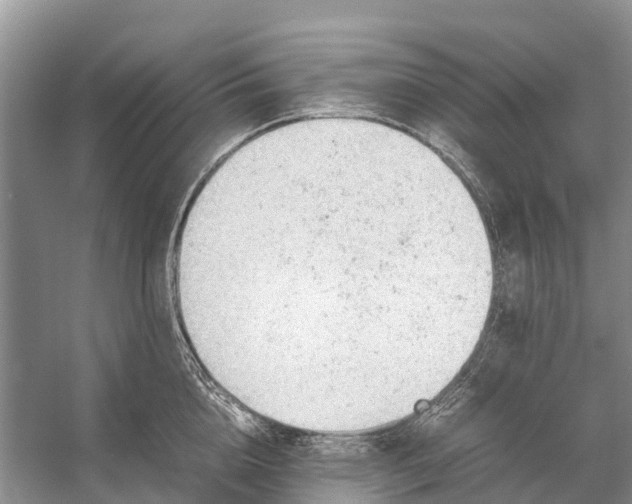 X0000053150856200508081408