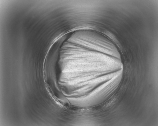 X0000053150858200508081408