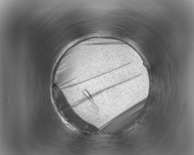 X0000053150861200508081409