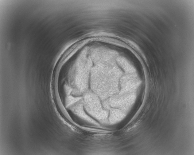 X0000053150863200508081409