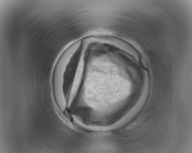 X0000053150864200508081409