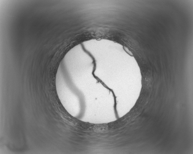 X0000053150865200508081408