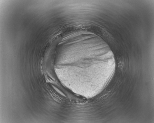 X0000053150868200508081408