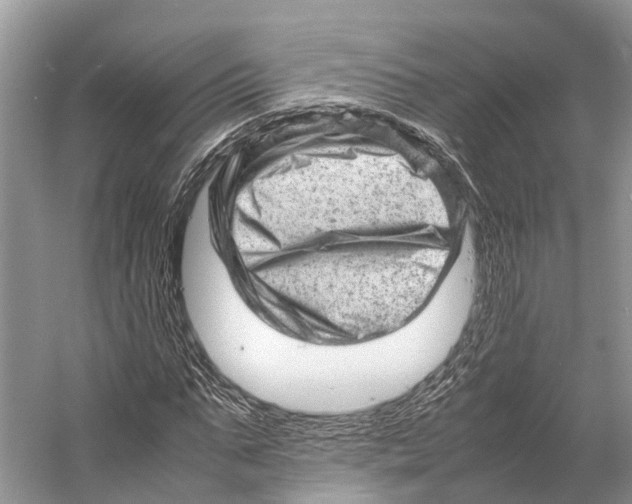 X0000053150871200508081408