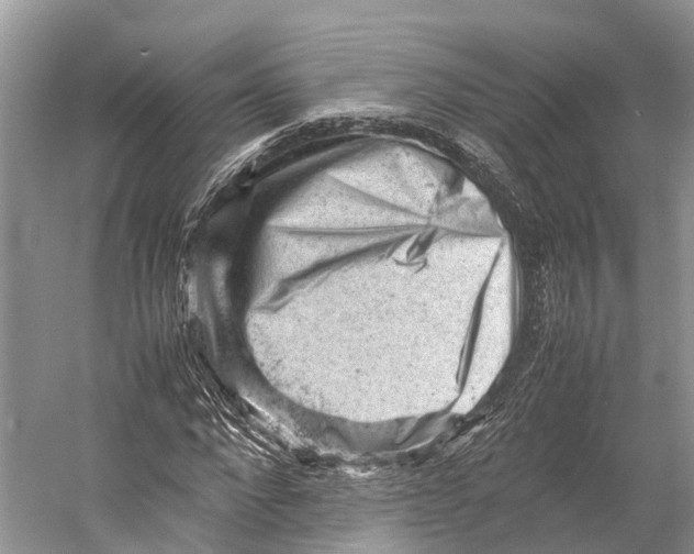 X0000053150872200508081408