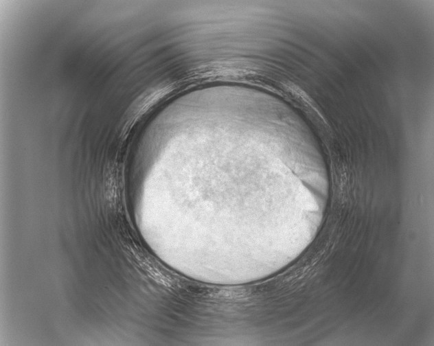 X0000053150874200508081408