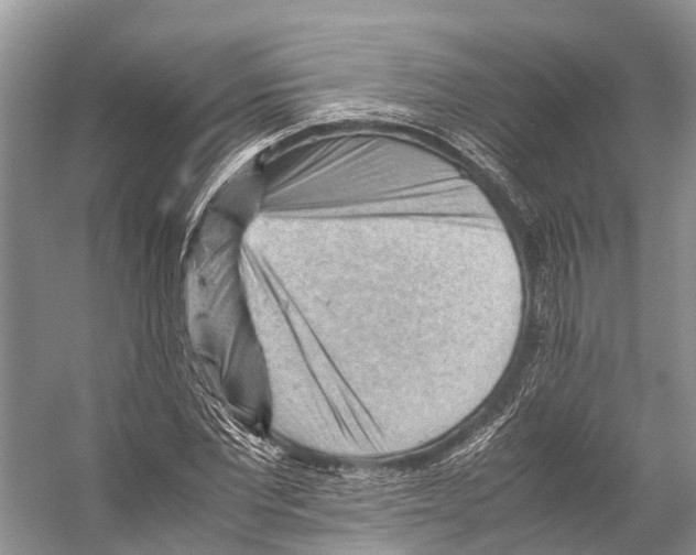 X0000053150877200508081408