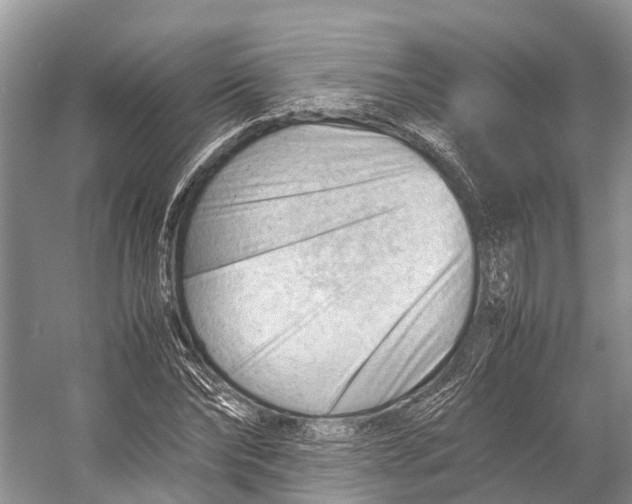 X0000053150878200508081408