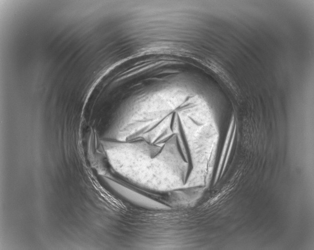 X0000053150880200508081407