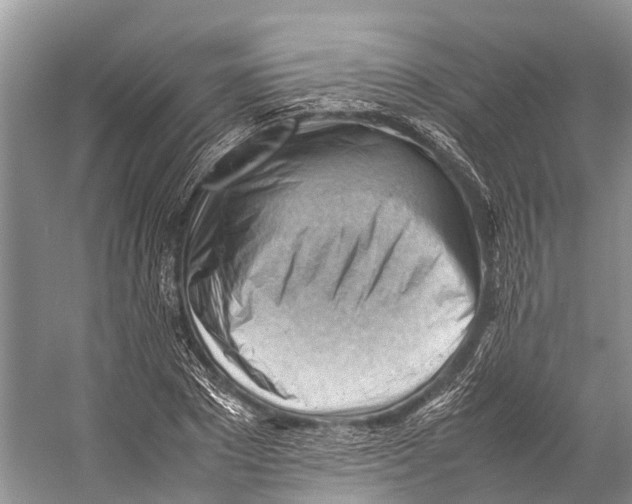 X0000053150881200508081407