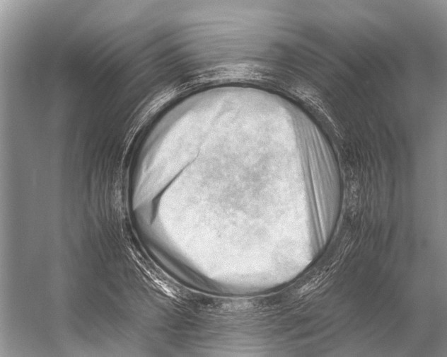 X0000053150882200508081407