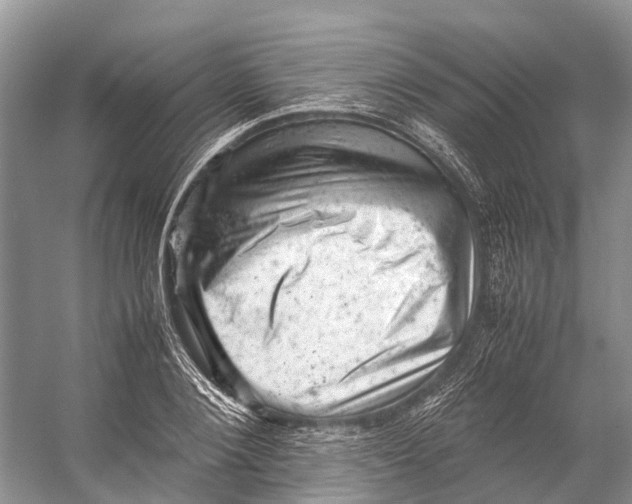 X0000053150884200508081407