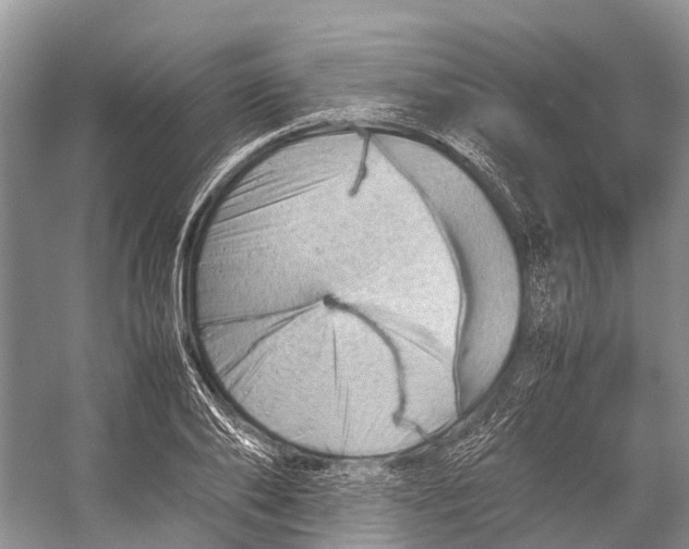 X0000053150886200508081407