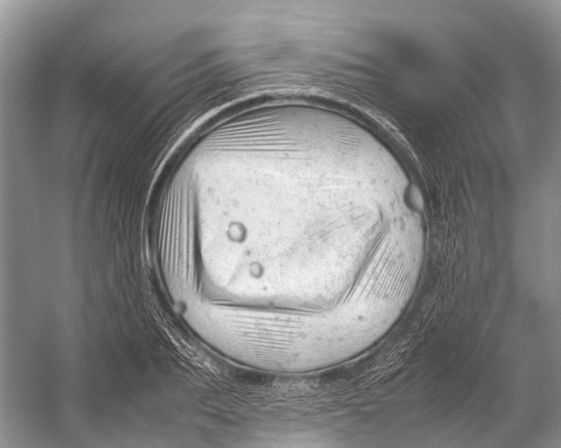 X0000053150887200508081407