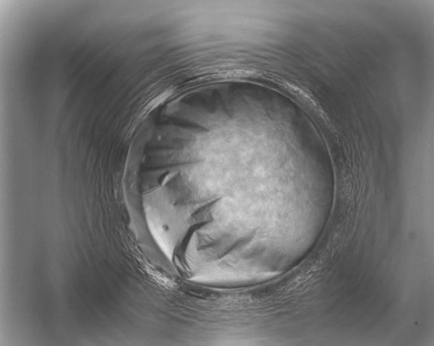 X0000053150889200508081407