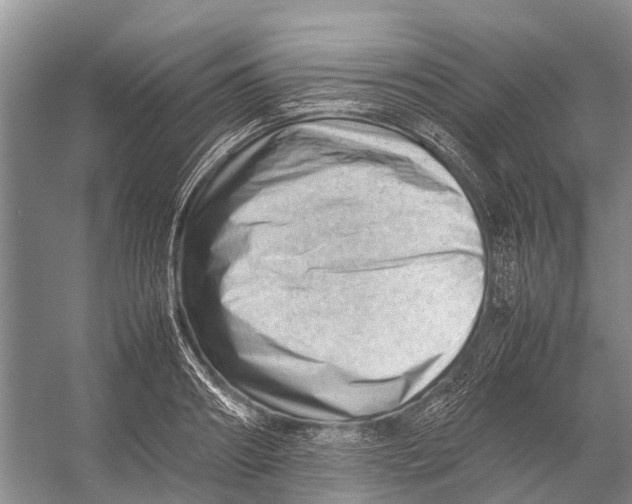 X0000053150890200508081407