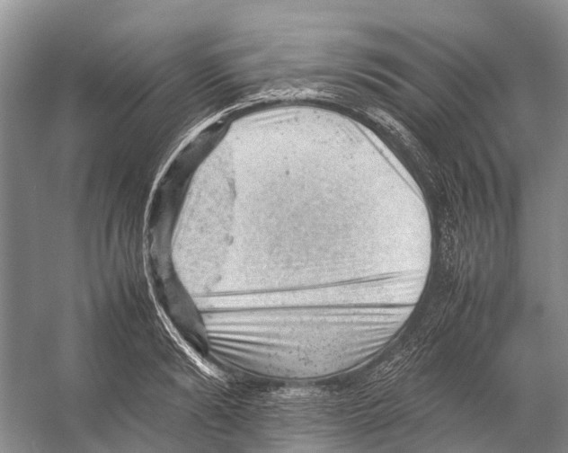 X0000053150894200508081407