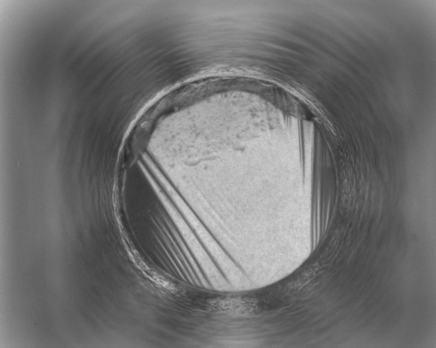 X0000053150896200508081407