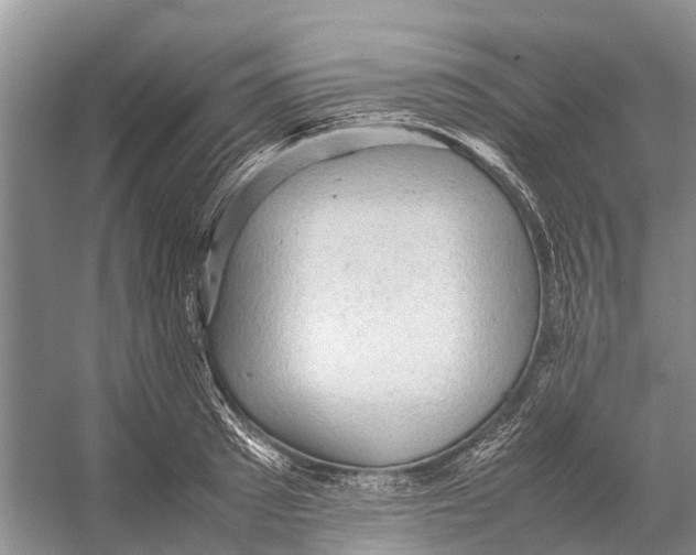 X0000053150897200508081407