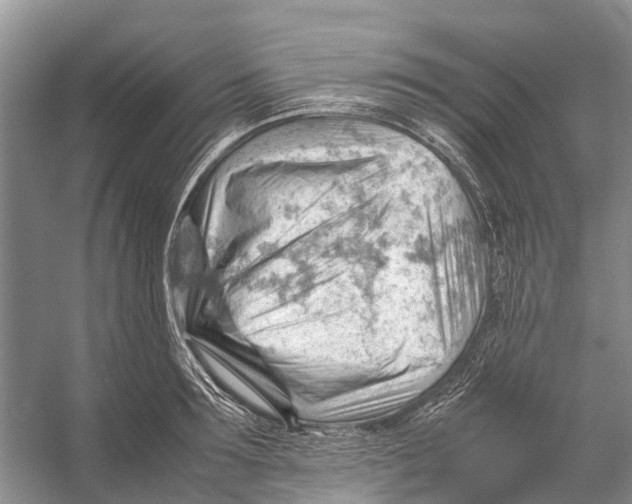 X0000053150899200508081407