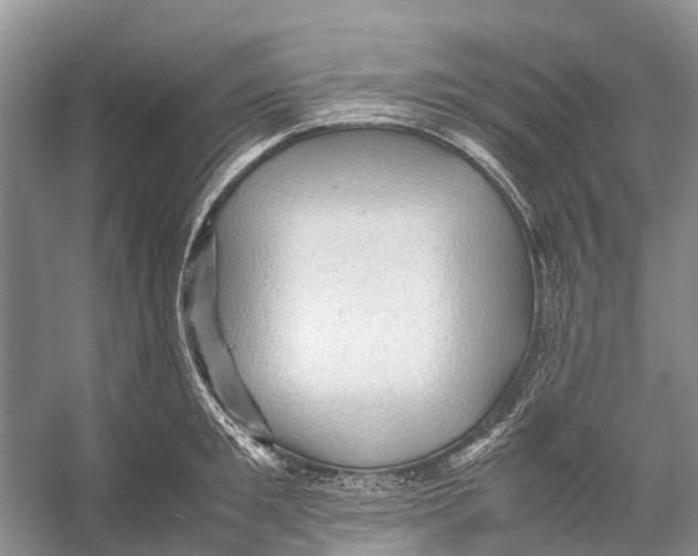 X0000053150901200508081407