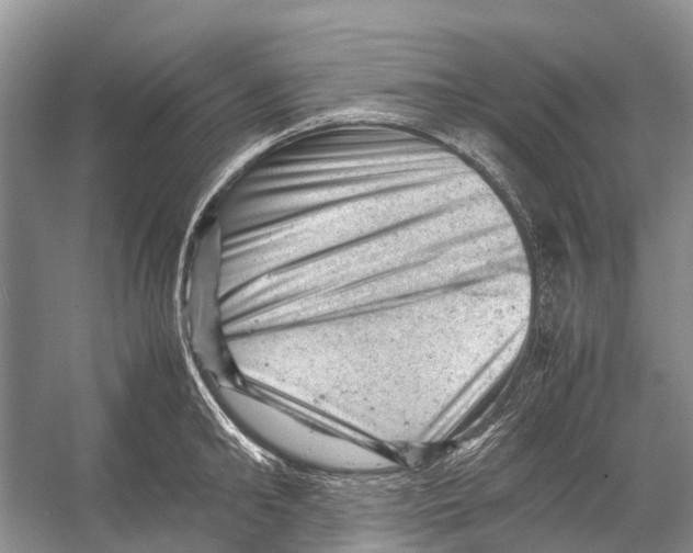 X0000053150902200508081407