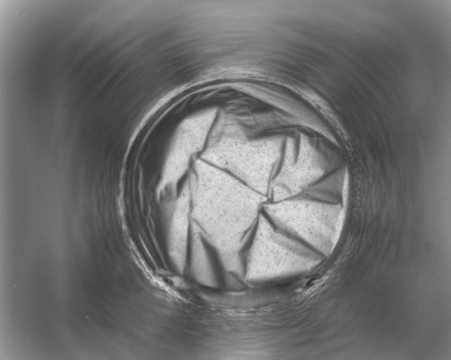 X0000053150904200508081407