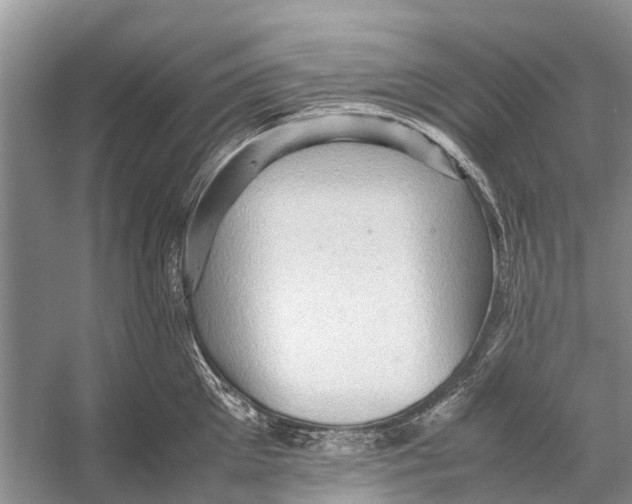 X0000053150905200508081407