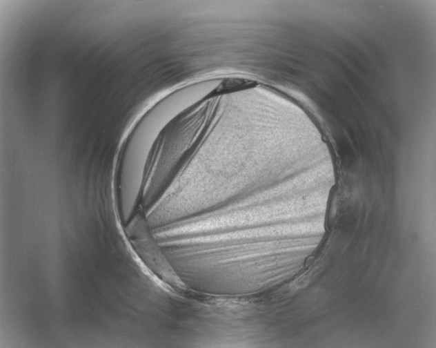 X0000053150910200508081407