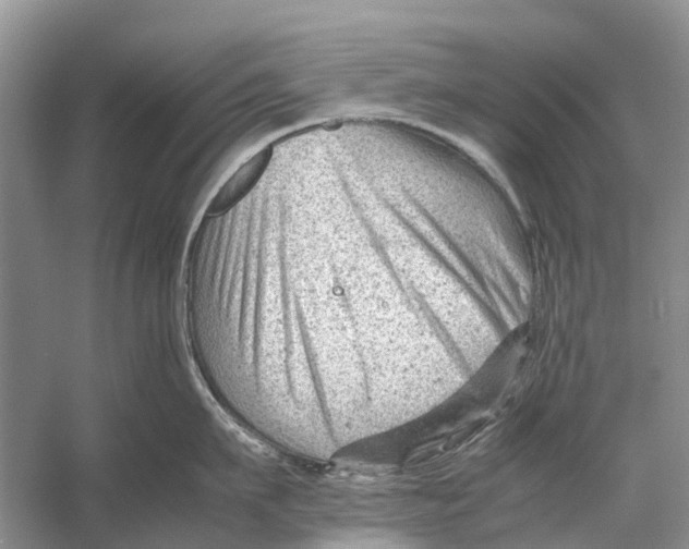 X0000053150911200508081407