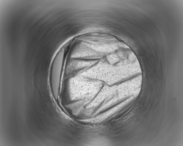 X0000053150912200508081407