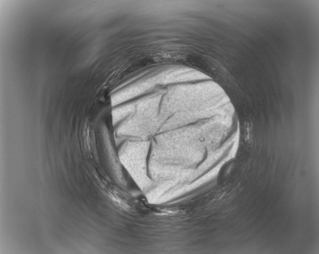 X0000053150915200508081406