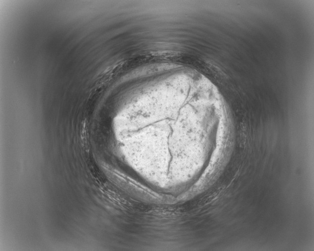 X0000053150917200508081406