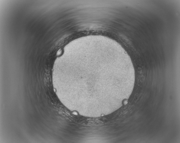 X0000053150918200508081406