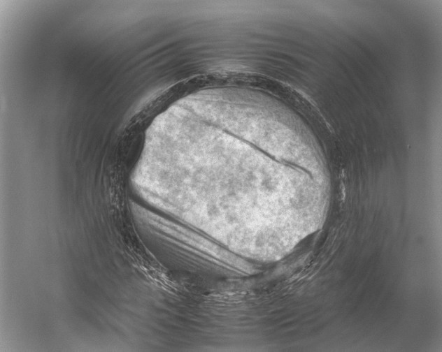 X0000053150919200508081406