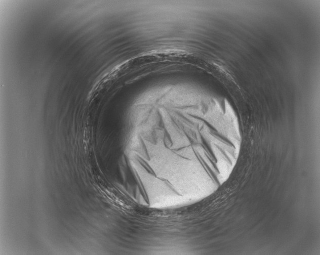 X0000053150920200508081406