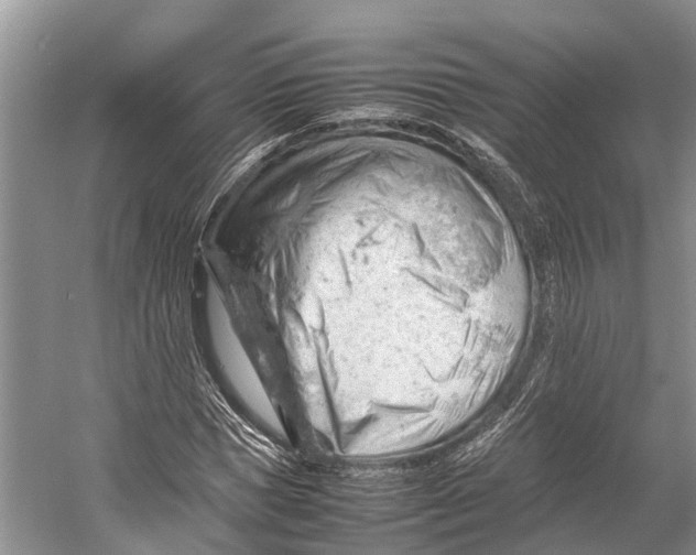 X0000053150921200508081406