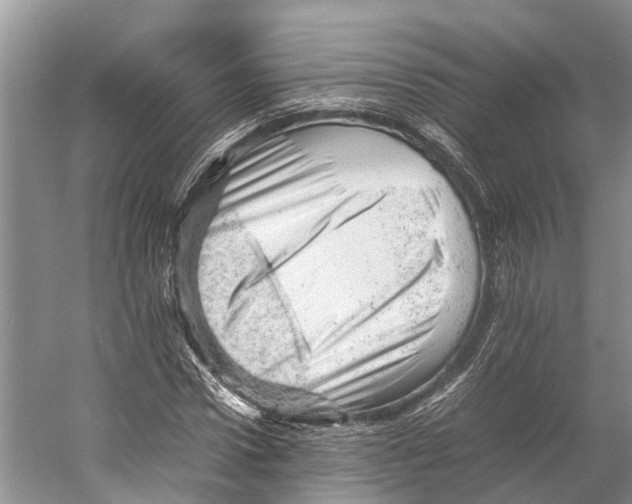 X0000053150922200508081406