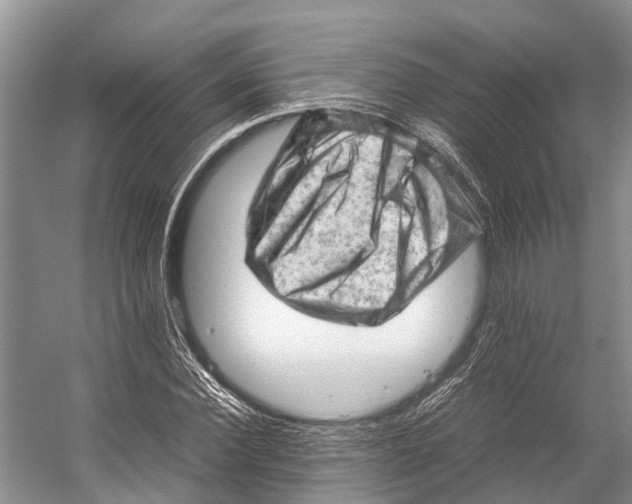 X0000053150924200508081406