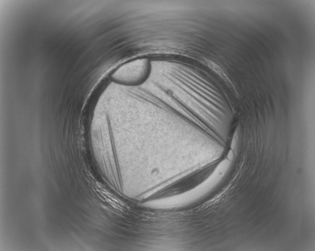 X0000053150926200508081406