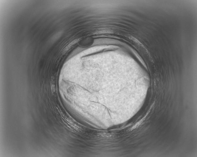 X0000053150929200508081406