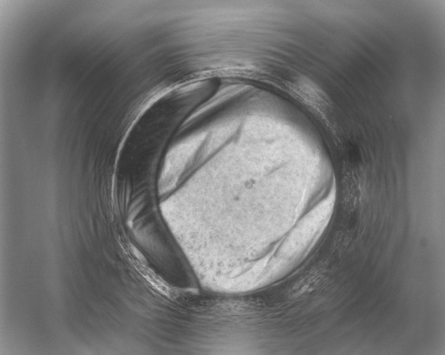 X0000053150932200508081406